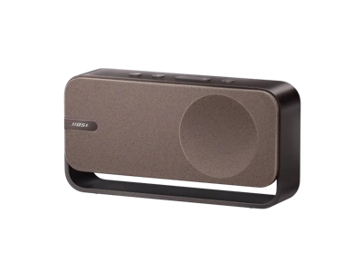Whole House Audio product 2
